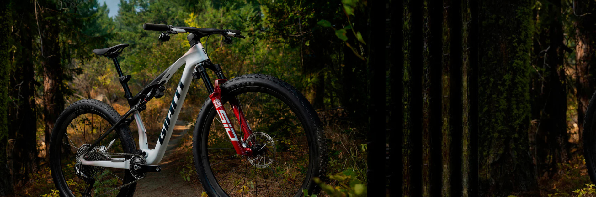 Giant Anthem Advanced SL